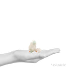 Green Apophyllite & Stilbite on Matrix Cluster from Lonavala, Pune District, Maharashtra, India | Venusrox