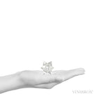 Clear Quartz Polished Star from Brazil | Venusrox