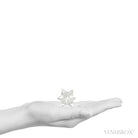 Clear Quartz Polished Star from Brazil | Venusrox