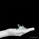 Clear Quartz Natural Cluster from Corinto, Minas Gerais, Brazil | Venusrox
