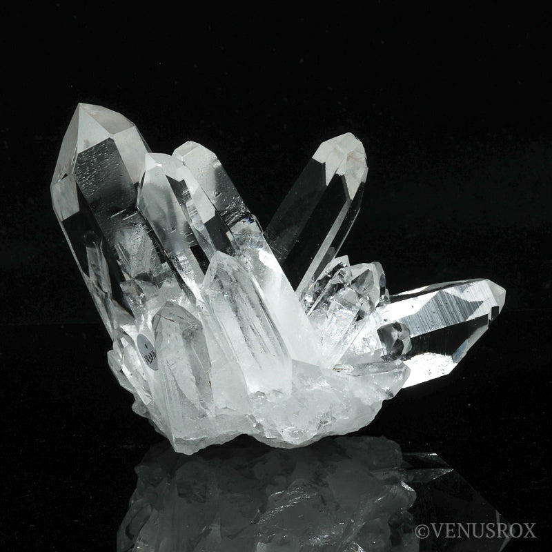 Clear Quartz Natural Cluster from Corinto, Minas Gerais, Brazil | Venusrox