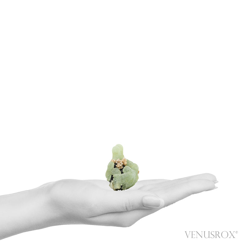 Prehnite with Epidote & Stilbite Natural Specimen from the Kayes Region, Mali, Africa | Venusrox