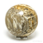 Petrified Wood Sphere from Indonesia | Venusrox