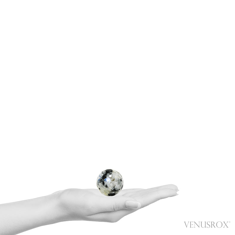 An exquisite Rainbow Moonstone with Black Tourmaline Polished Sphere from India | Venusrox