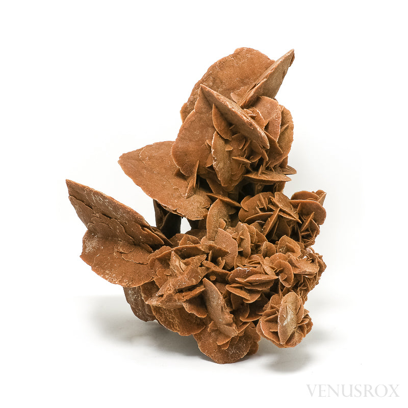 An exceptionally beautiful Desert Rose Natural Cluster from Morocco | Venusrox, the UK's Premier Crystal Showroom