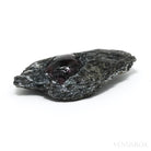 Almandine Garnet with Biotite Part Polished/Part Natural Crystal from Schenkenzell, Rottweil, Freiburg Region, Baden-Württemberg, Germany | Venusrox