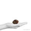 Natural 'River Rolled' Carnelian Crystal from Madagascar | Venusrox