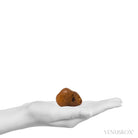 Natural 'River Rolled' Carnelian Crystal from Madagascar | Venusrox