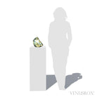 Labradorite Polished/Natural Freeform from Madagascar | Venusrox