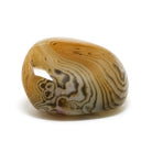 Dendritic Agate Polished Crystal from Madagascar | Venusrox
