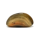 Dendritic Agate Polished Crystal from Madagascar | Venusrox