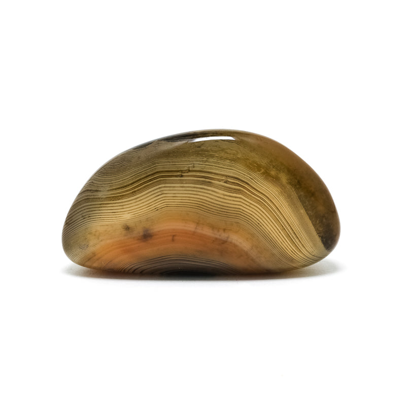 Dendritic Agate Polished Crystal from Madagascar | Venusrox