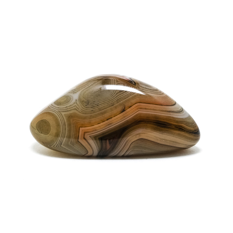 Dendritic Agate Polished Crystal from Madagascar | Venusrox