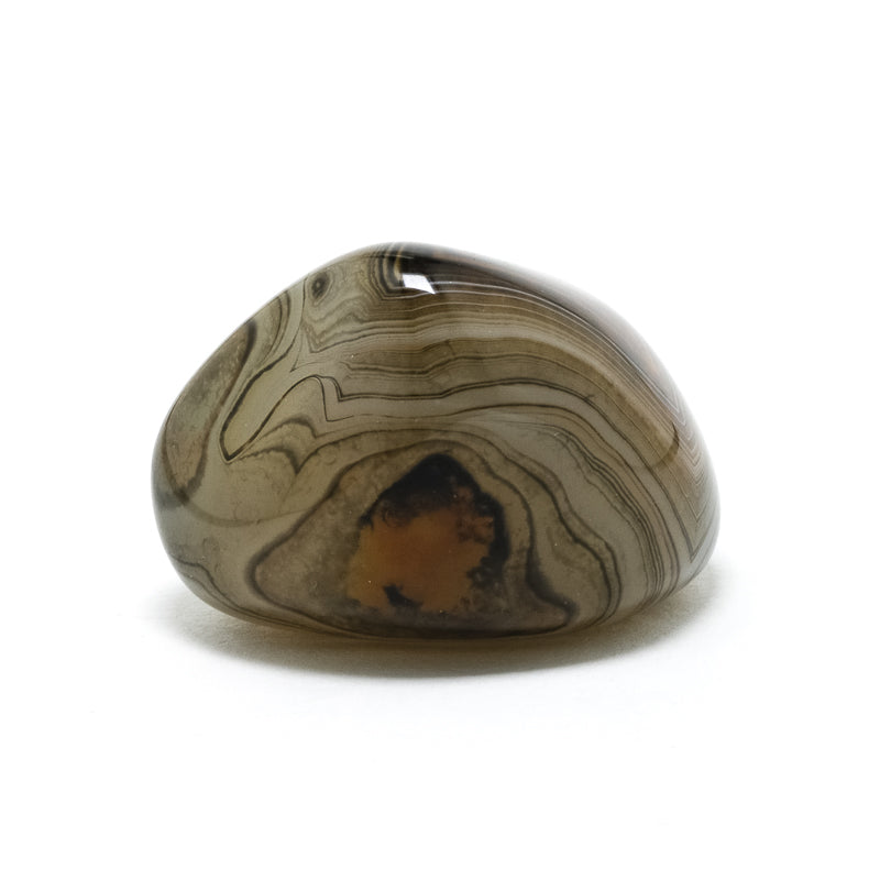 Dendritic Agate Polished Crystal from Madagascar | Venusrox