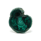 Malachite Polished/Natural Slice from the Democratic Republic of Congo | Venusrox