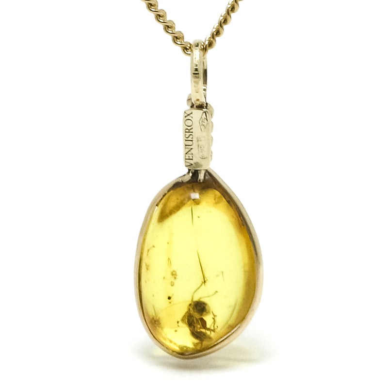 Natural Baltic Amber with Insect Polished Crystal Pendant | Venusrox