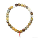 Crazy Lace Agate Bracelet from Mexico | Venusrox