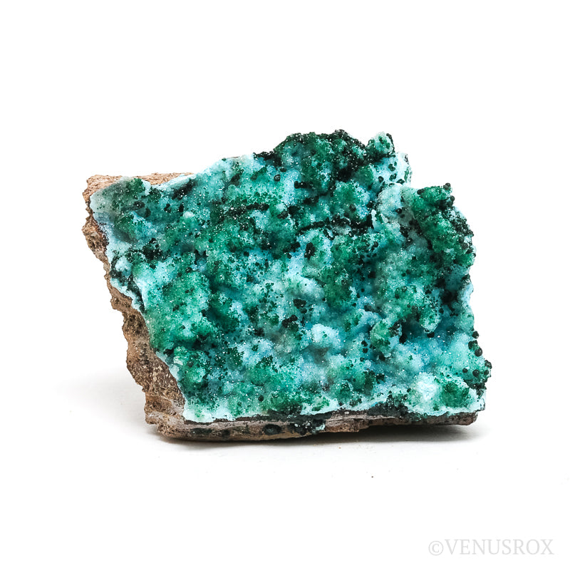 Chrysocolla with Malachite, Clear Quartz &amp; Matrix Natural Crystal from the Tenke-Fungurume Area, Lualaba, Democratic Republic of the Congo | Venusrox