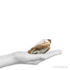 Amphibole Quartz Polished/Natural Point from Brazil | Venusrox