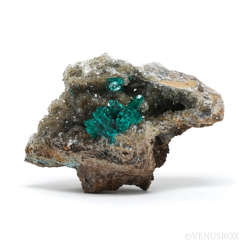 Dioptase with Quartz & Shattuckite on Matrix Natural Cluster from the Democratic Republic of Congo | Venusrox