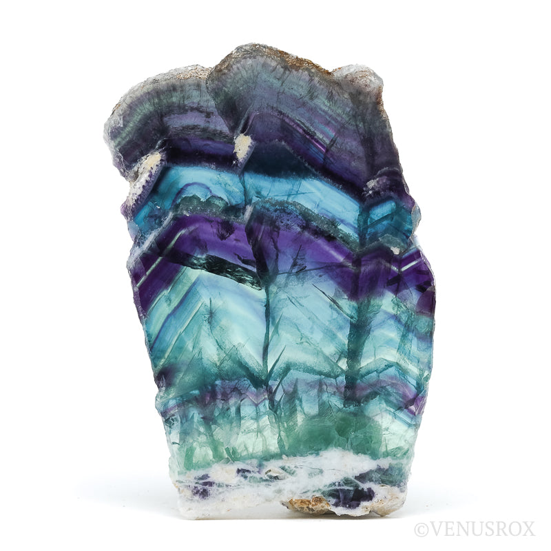 Fluorite Part Polished/Part Natural Slice from Mexico | Venusrox