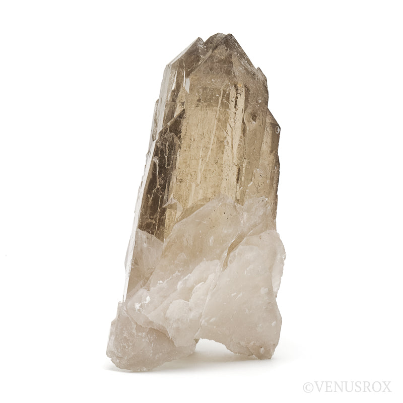 Citrine Cathedral Point from Brazil | Venusrox