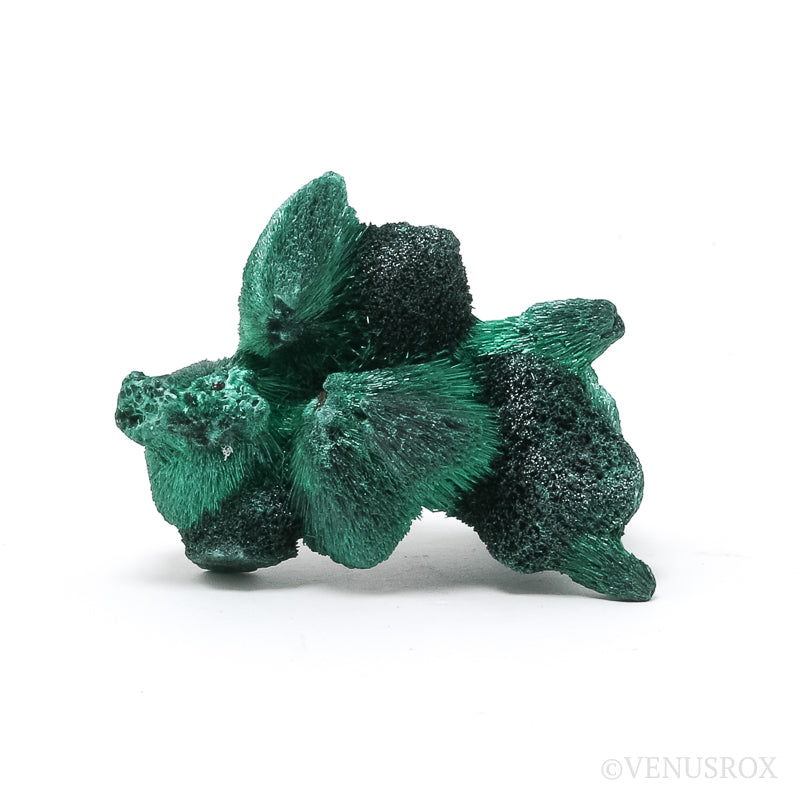 Fibrous Malachite Natural Crystal from the Luishia Mine, Katanga Province, Democratic Republic of Congo | Venusrox