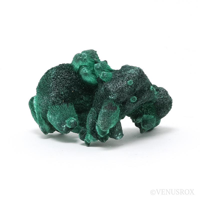 Fibrous Malachite Natural Crystal from the Luishia Mine, Katanga Province, Democratic Republic of Congo | Venusrox