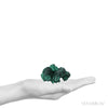 Fibrous Malachite Natural Crystal from the Luishia Mine, Katanga Province, Democratic Republic of Congo | Venusrox