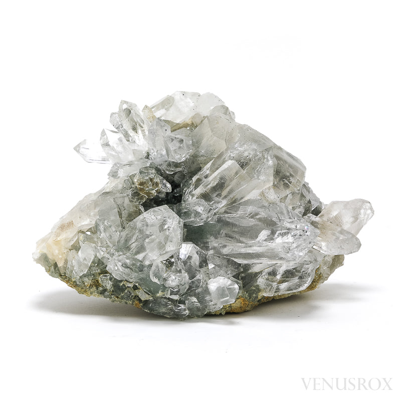 Himalayan Chlorite Quartz with Golden Rutile Natural Cluster from the Indian Himalayas | Venusrox