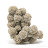 Desert Rose Natural Cluster from Mexico | Venusrox