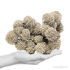 Desert Rose Natural Cluster from Mexico | Venusrox