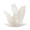 Calcite Natural Cluster from Chihuahua, Mexico | Venusrox