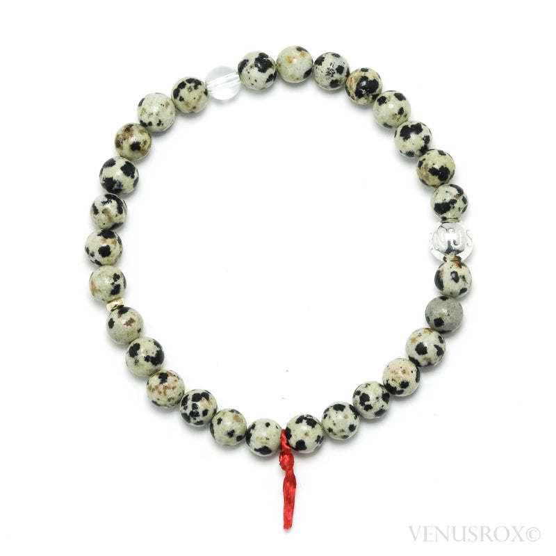 Dalmatian Jasper Bracelet from China | Venusrox