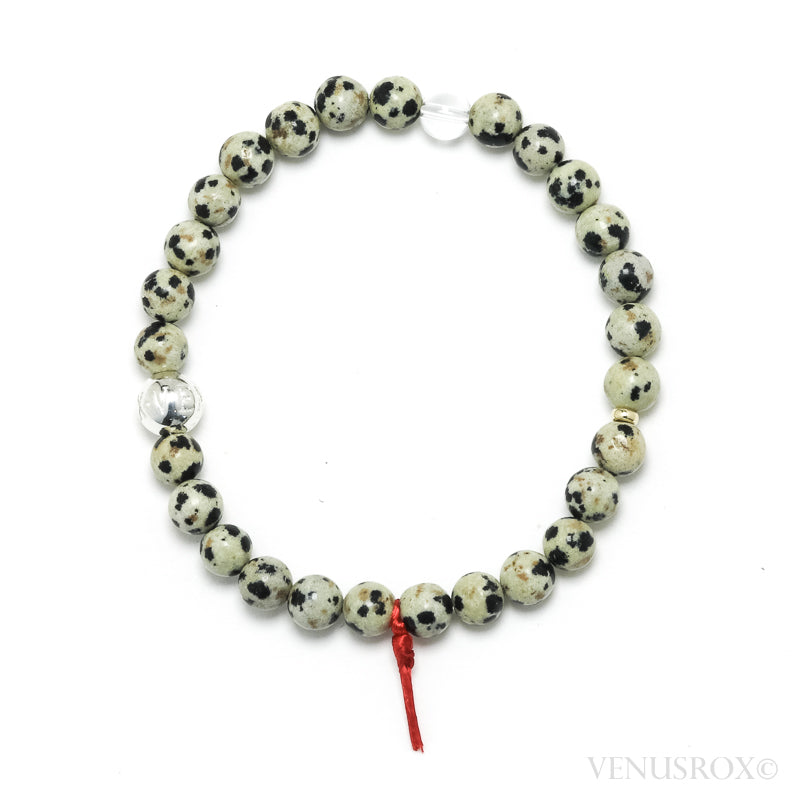 Dalmatian Jasper Bracelet from China | Venusrox