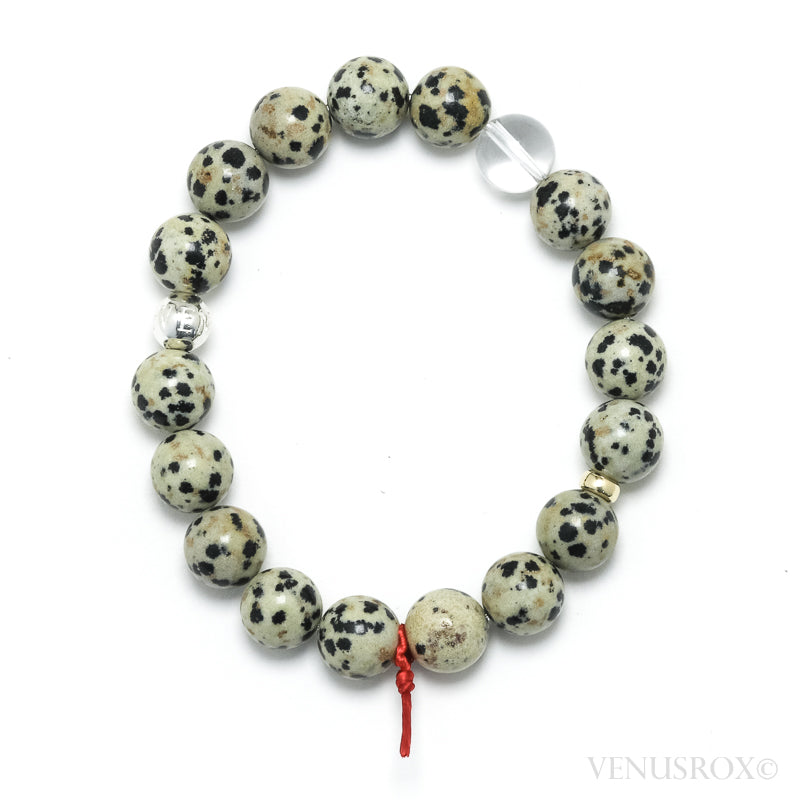 Dalmatian Jasper Bracelet from China | Venusrox