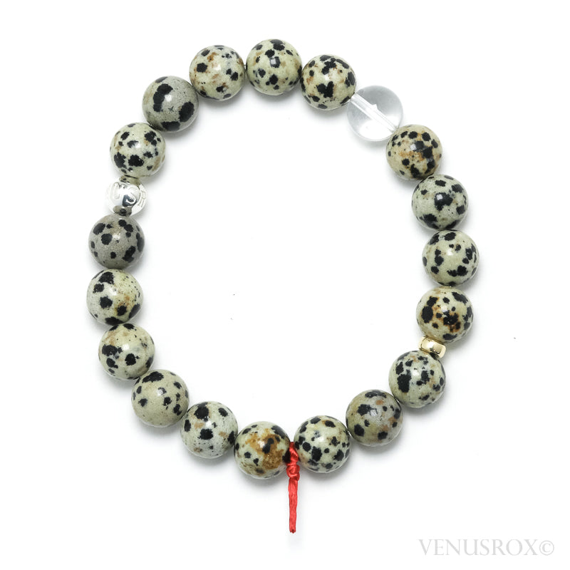 Dalmatian Jasper Bracelet from China | Venusrox