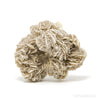 Desert Rose Natural Cluster from Mexico | Venusrox