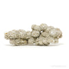 Desert Rose Natural Cluster from Mexico | Venusrox