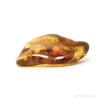 Baltic Amber Polished Crystal | Venusrox