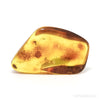 Baltic Amber Polished Crystal | Venusrox