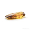 Baltic Amber Polished Crystal | Venusrox