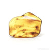 Baltic Amber Polished Crystal | Venusrox