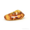 Baltic Amber Polished Crystal | Venusrox