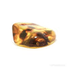 Baltic Amber Polished Crystal | Venusrox