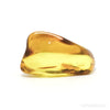 Baltic Amber Polished Crystal | Venusrox