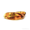 Baltic Amber Polished Crystal | Venusrox