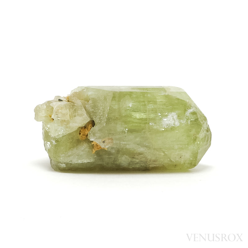 Natural Golden Apatite Crystal from Morocco | Venusrox