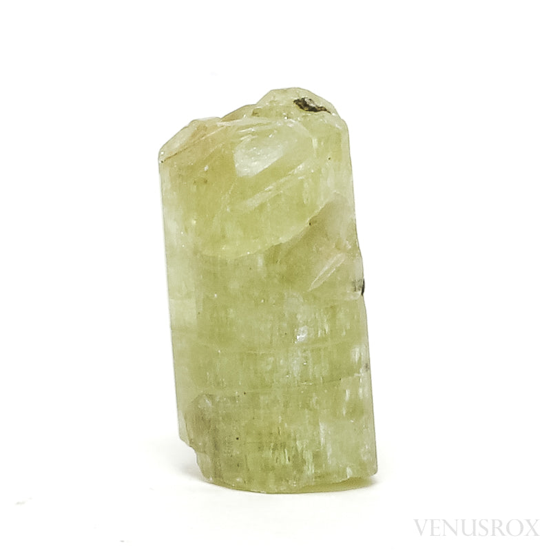 An exquisite Natural Golden Apatite Crystal from Morocco | Venusrox, the UK's Premier Crystal Showroom