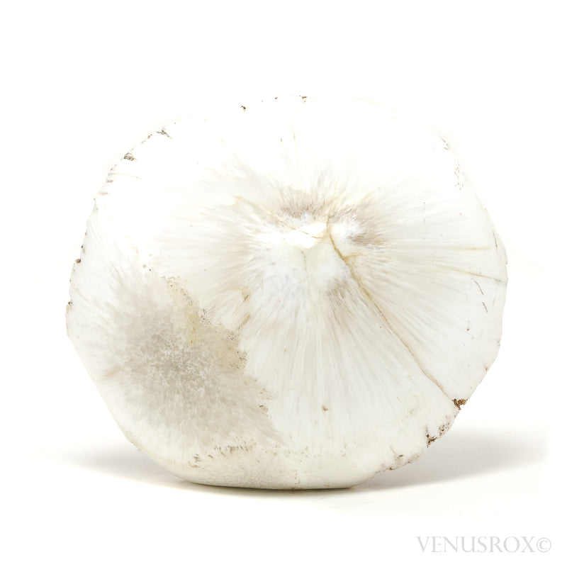 Scolecite Polished Crystal from India | Venusrox